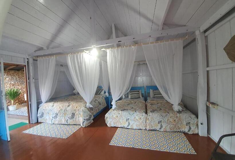 Hotel Scuba Republic Beach Bungalows