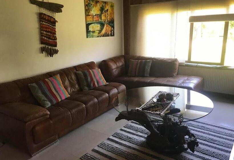 پانسیون Complejo Molco Sur Con Piscina