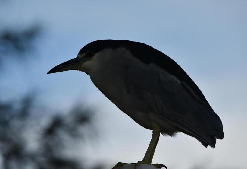 Пансион Pousada Barra Sul