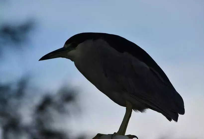 Majatalo Pousada Barra Sul