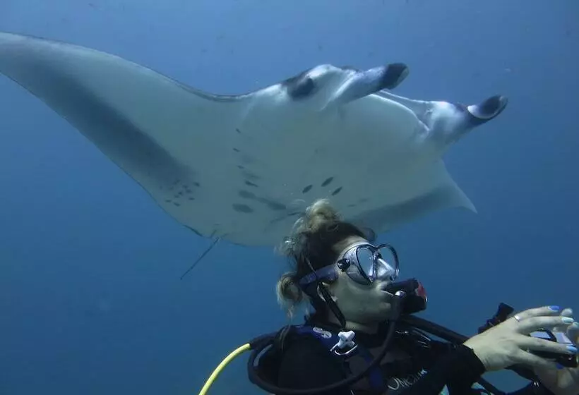 پانسیون Calyx Grand Fuvahmulah