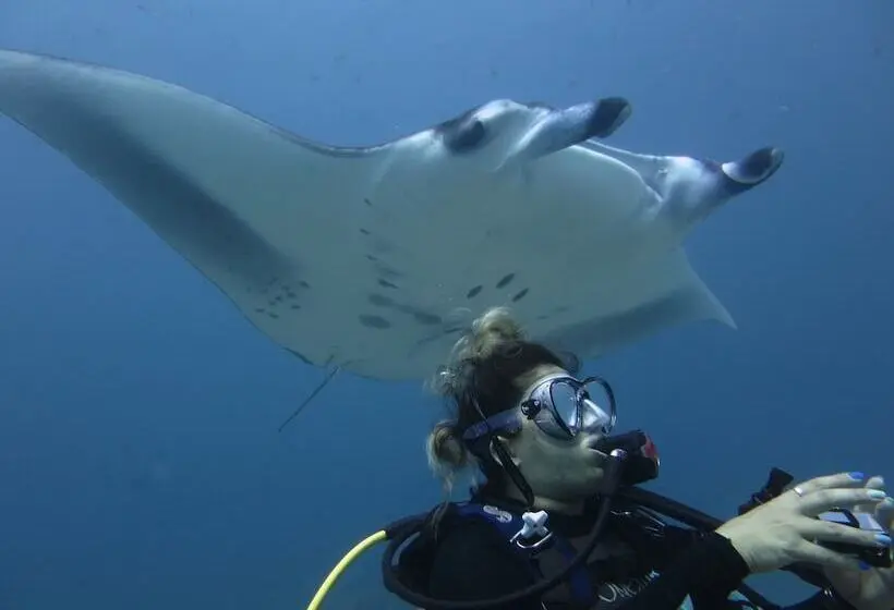 ペンション Calyx Grand Fuvahmulah