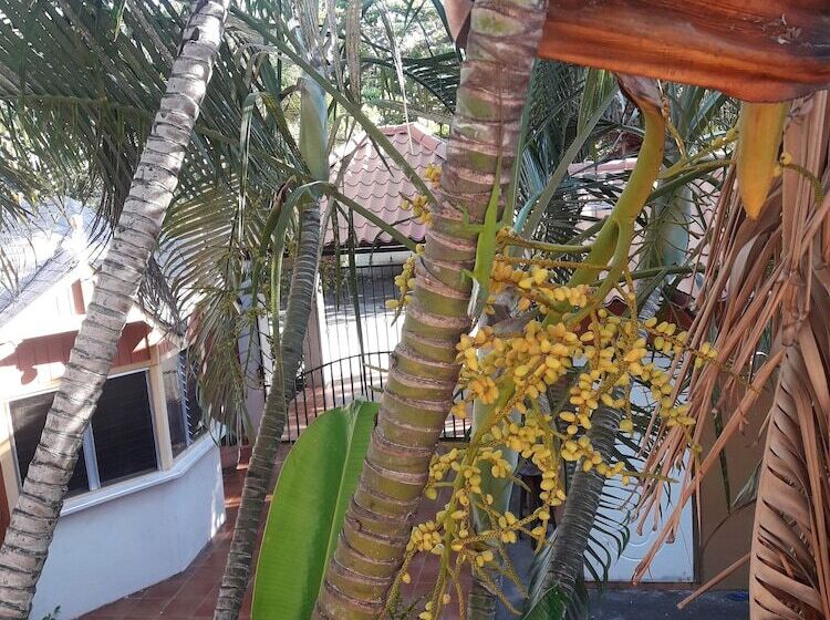 پانسیون Las Vibras Hostel