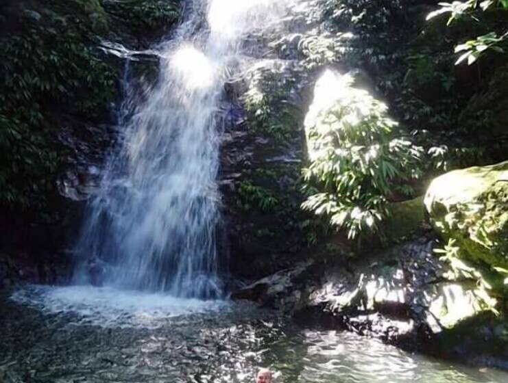 پانسیون Las Vibras Hostel