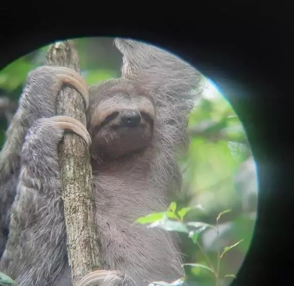 ホテル El Congo