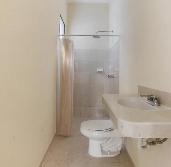 تختخواب و صبحانه Capital O  Mucuy Nah