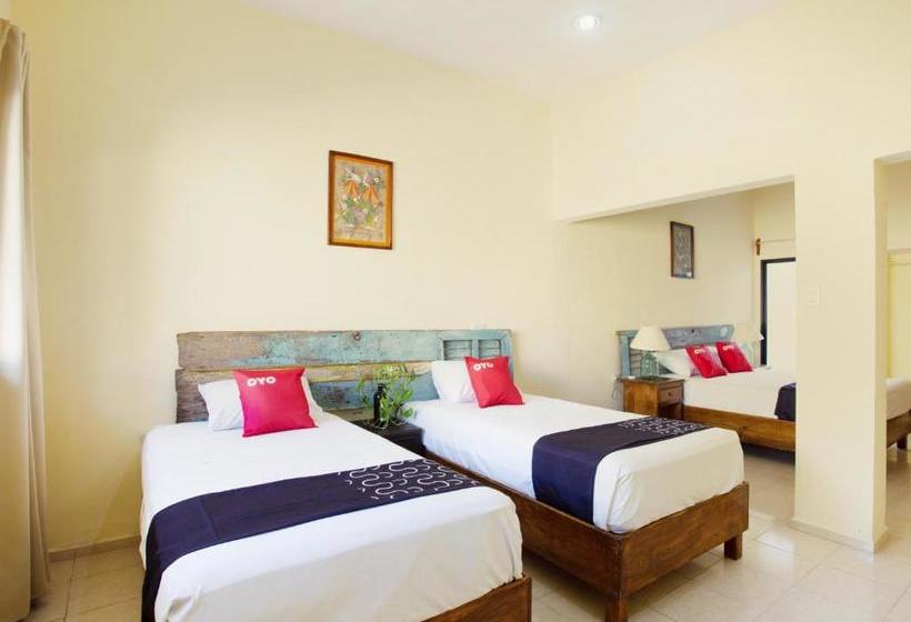 تختخواب و صبحانه Capital O  Mucuy Nah