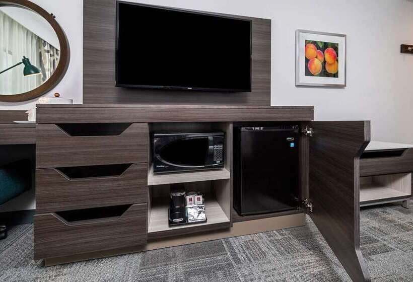 Отель Hampton Inn & Suites Snellville Atlanta Ne