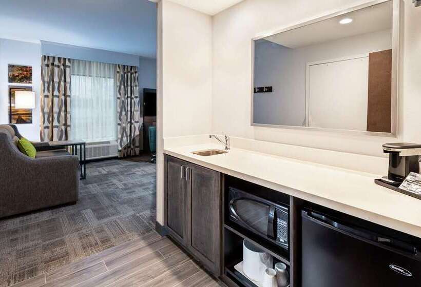 Отель Hampton Inn & Suites Snellville Atlanta Ne