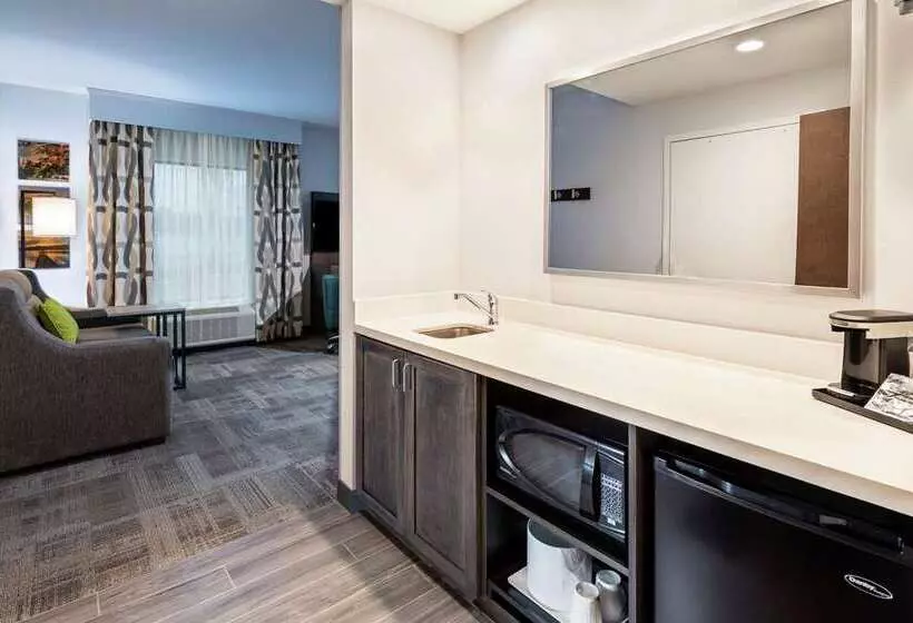 Hotelli Hampton Inn & Suites Snellville Atlanta Ne
