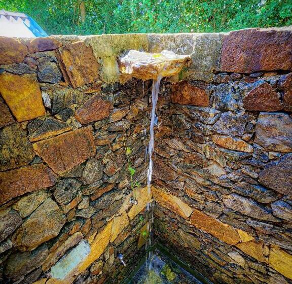 Пансион Hasthi Safari Cottage