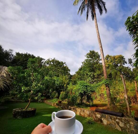 Пансион Hasthi Safari Cottage