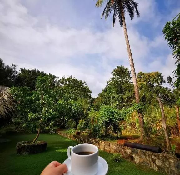 Majatalo Hasthi Safari Cottage