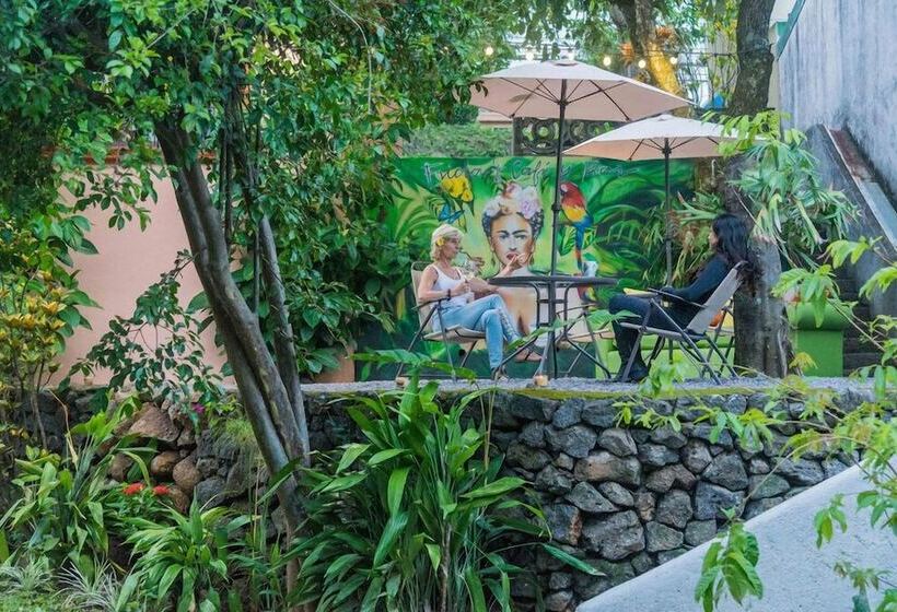 فندق صغير Luna Inn B&b