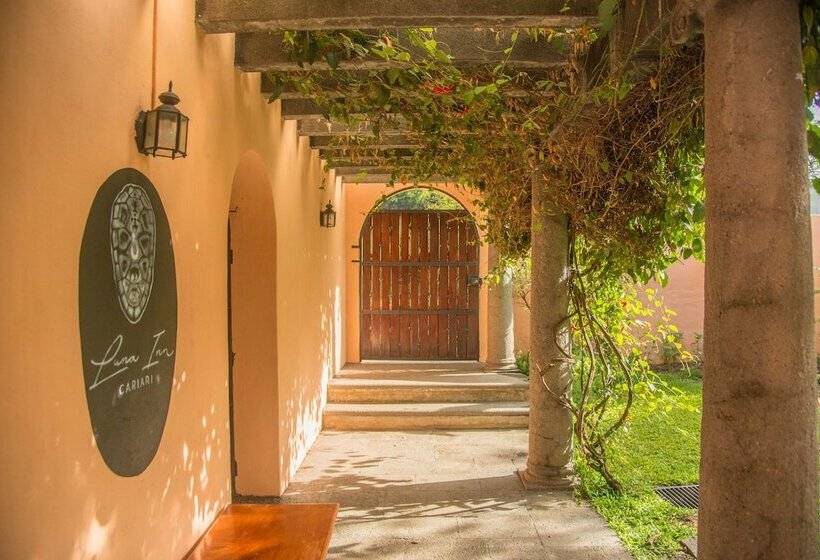 فندق صغير Luna Inn B&b