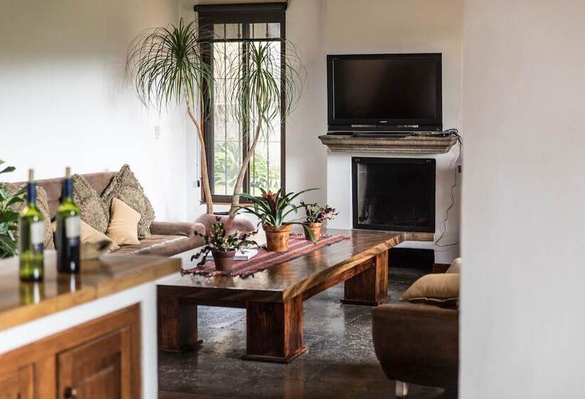 فندق صغير Luna Inn B&b