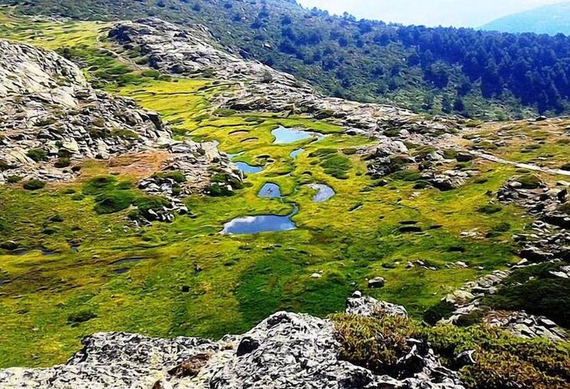 El Refugio De Cotos   Hostel