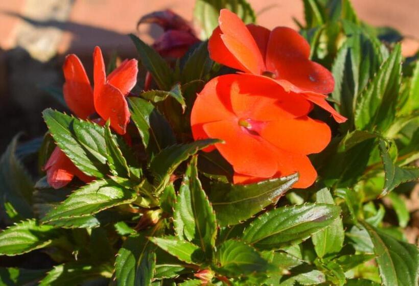 펜션 Pousada Guinda Diamantina  Mg