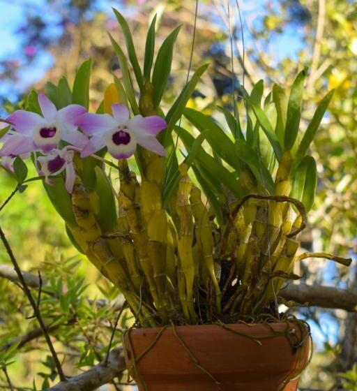 펜션 Pousada Guinda Diamantina  Mg