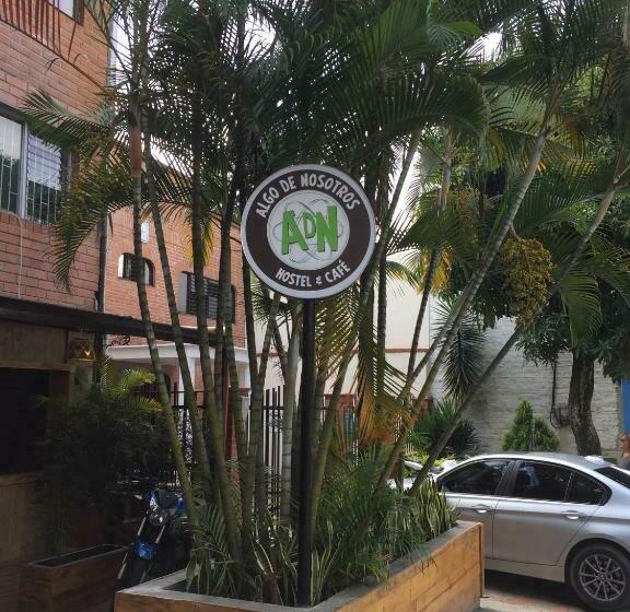 Hostel Adn Algo De Nosotros   Malaika