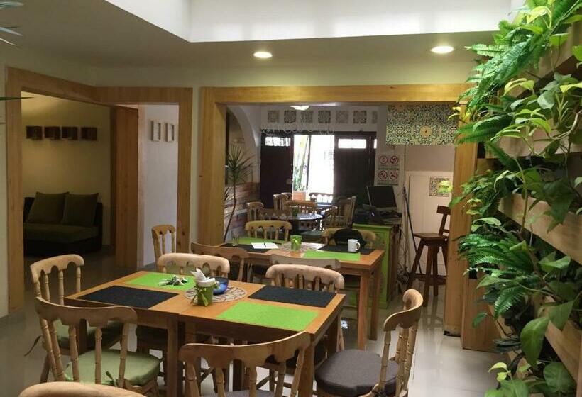 Hostel Adn Algo De Nosotros   Malaika