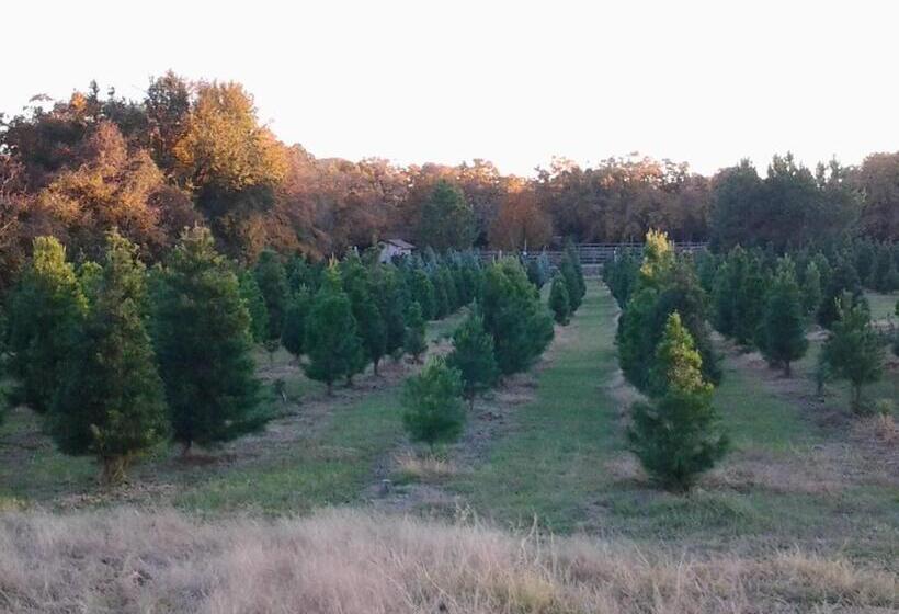 Kelumac Christmas Tree Farm B&b