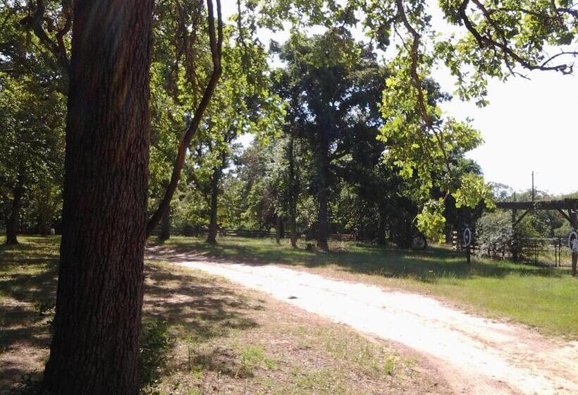 Kelumac Christmas Tree Farm B&b