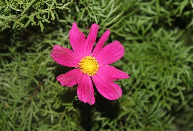 膳宿费 Ons Dorpshuis Beaufort West