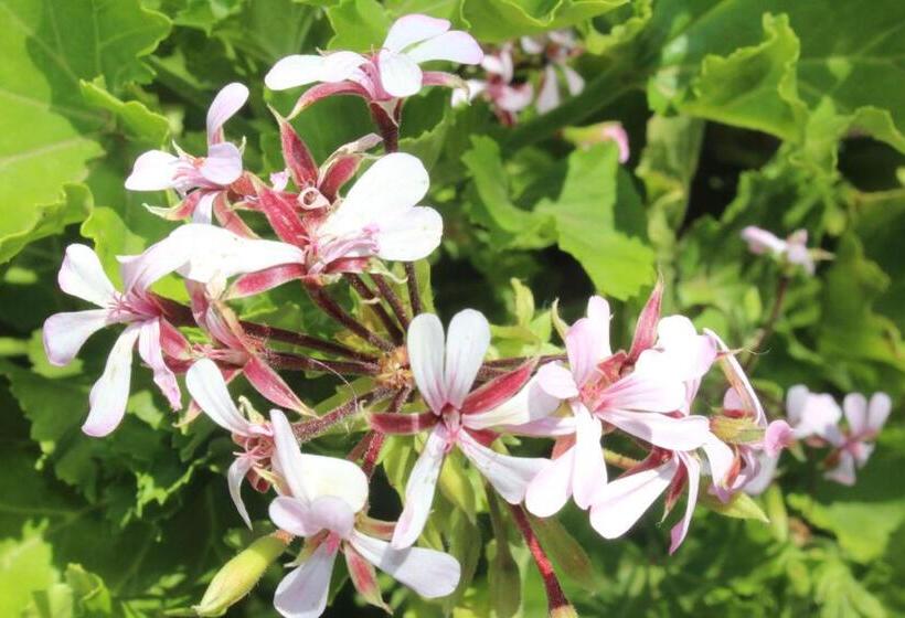 膳宿费 Ons Dorpshuis Beaufort West