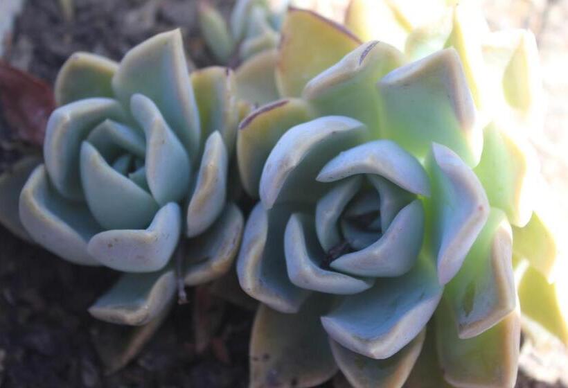 膳宿费 Ons Dorpshuis Beaufort West