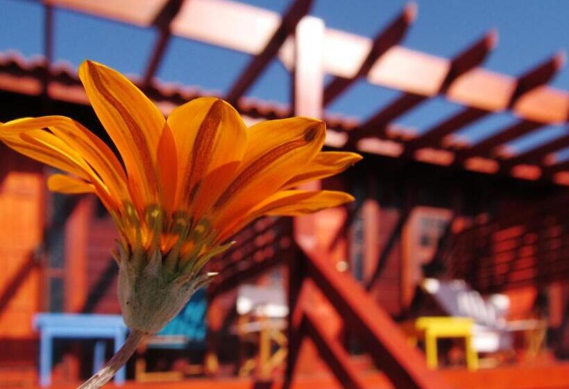 فندق صغير Posada Las Maravillas