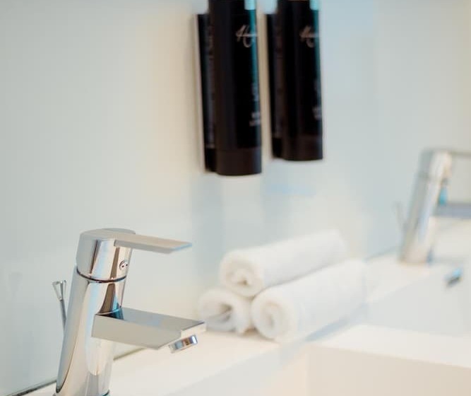 پانسیون A Flemish Tale