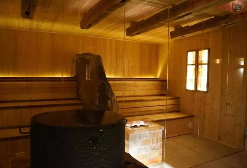 ベッドアンドブレックファースト Welness Penzion Modrý Jelen