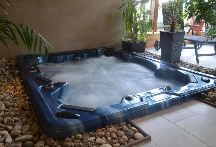 ベッドアンドブレックファースト Welness Penzion Modrý Jelen