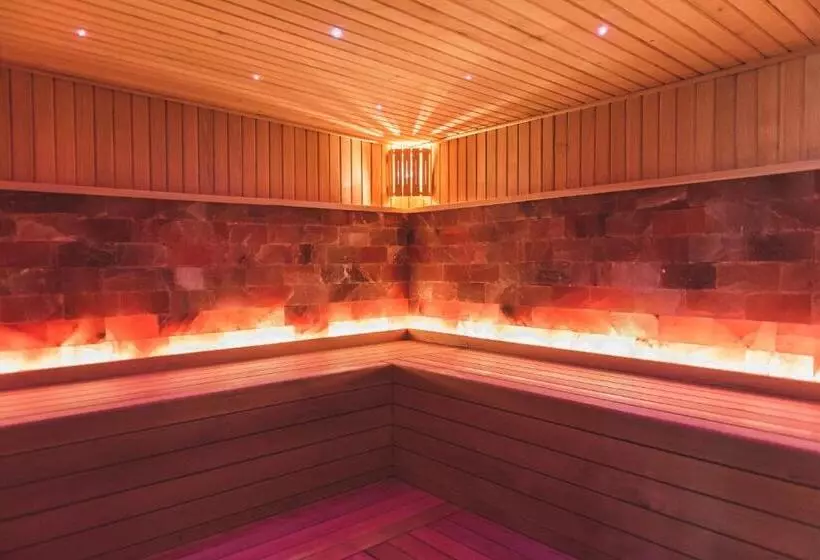 ベッドアンドブレックファースト Welness Penzion Modrý Jelen