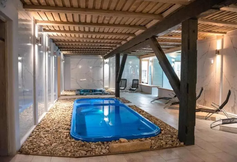 ベッドアンドブレックファースト Welness Penzion Modrý Jelen