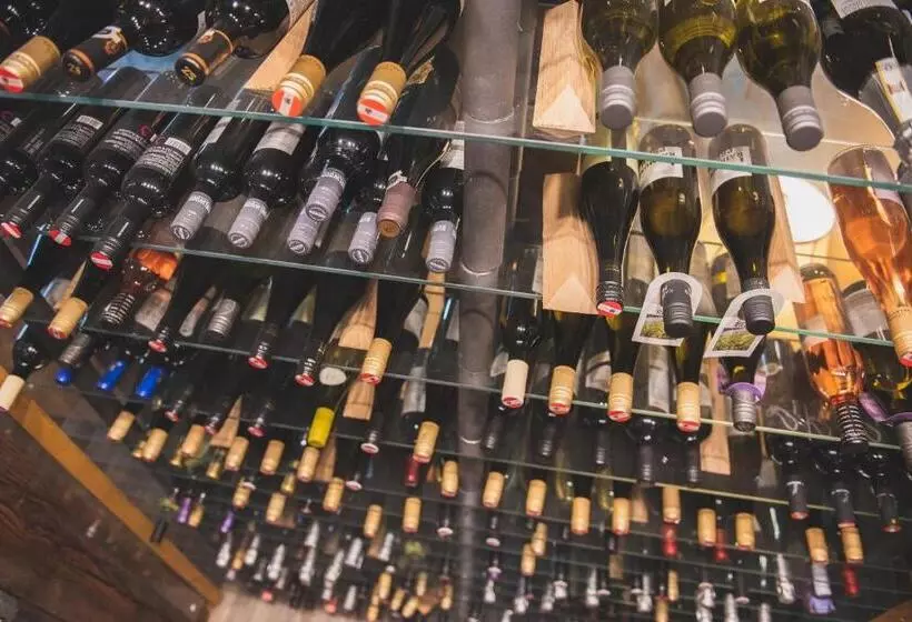 ベッドアンドブレックファースト Welness Penzion Modrý Jelen