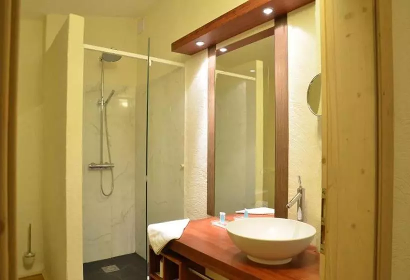 ベッドアンドブレックファースト Welness Penzion Modrý Jelen