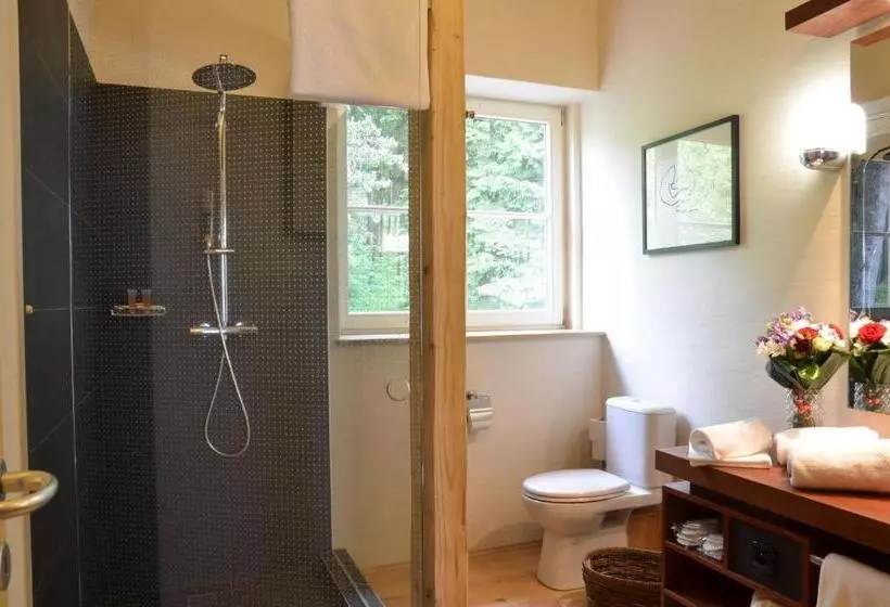 ベッドアンドブレックファースト Welness Penzion Modrý Jelen