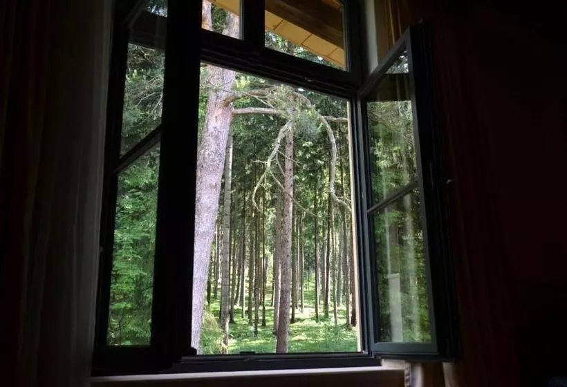 ベッドアンドブレックファースト Welness Penzion Modrý Jelen