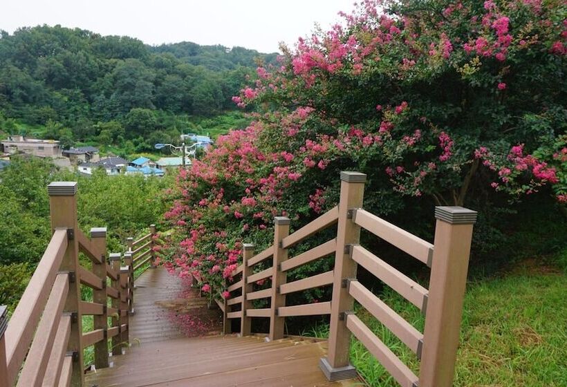 Pensió Wansangolgh Guest House