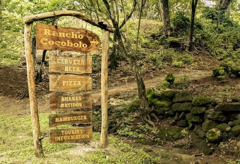 Hotelli Cocobolo Beach Boutique