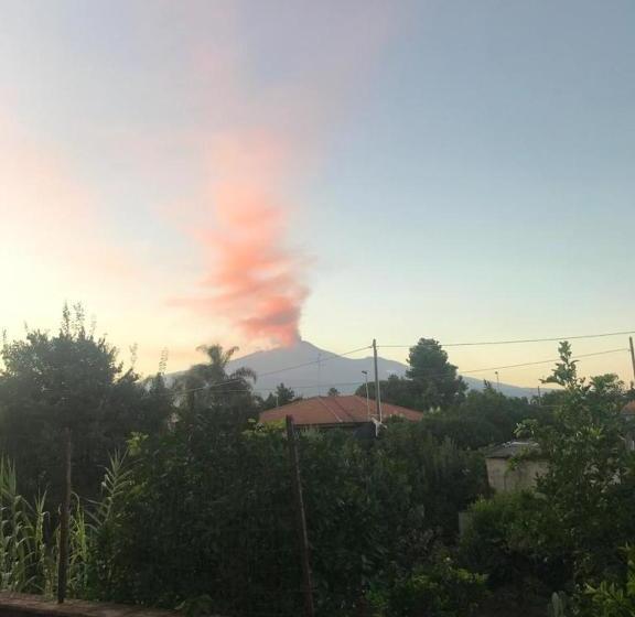 Bed and Breakfast Momoi