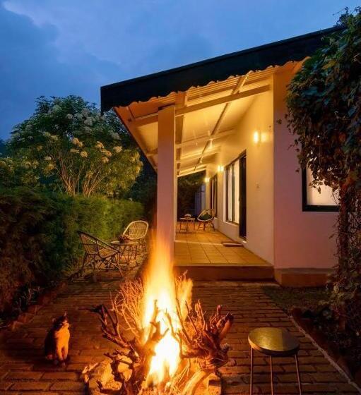 צימר The Tamarillo