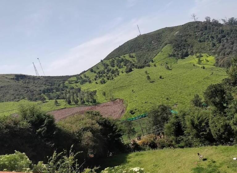 צימר The Tamarillo