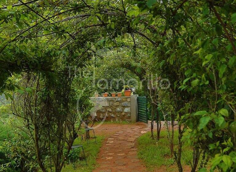 Bed & Breakfast The Tamarillo