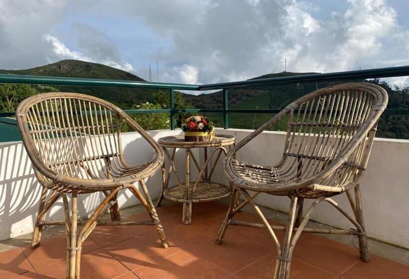 Bed & Breakfast The Tamarillo