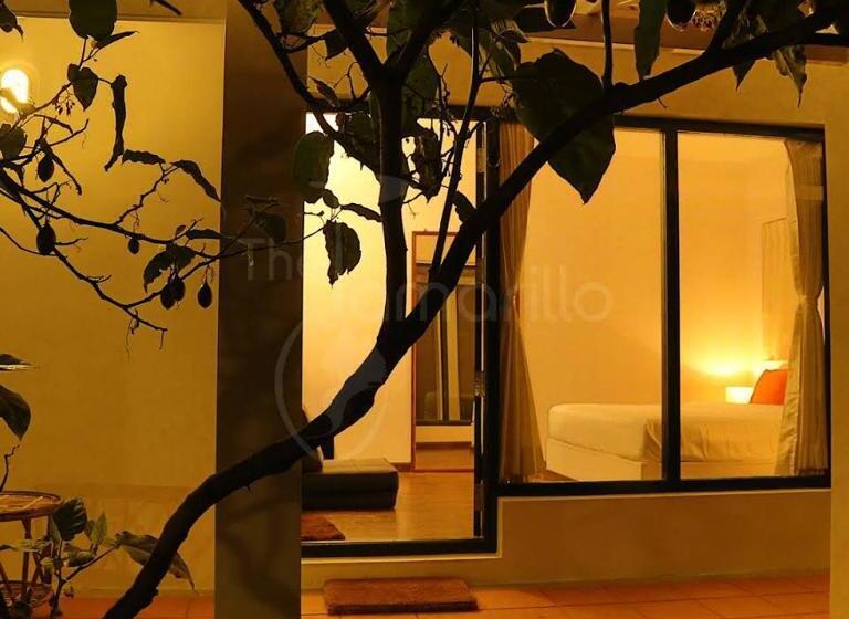 Bed & Breakfast The Tamarillo