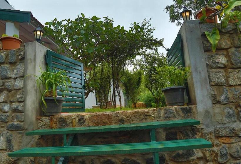 צימר The Tamarillo