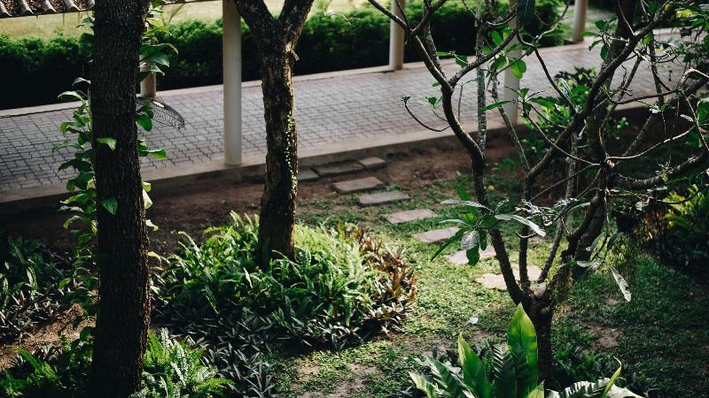 Eco Hotel By Thammasat